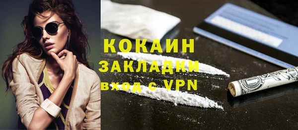дмт Пестово