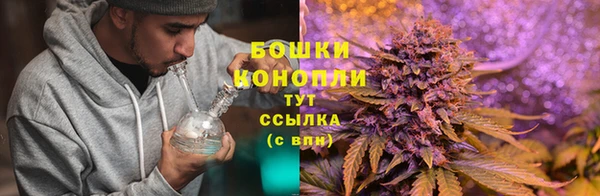 дмт Пестово
