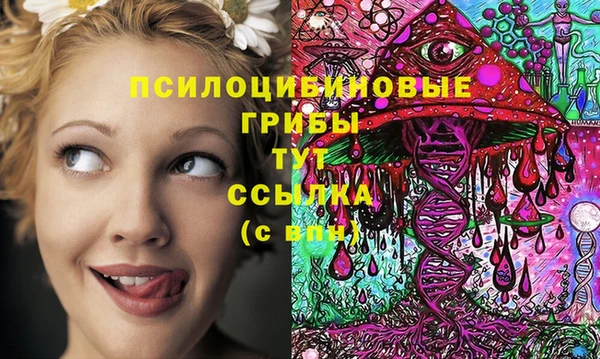 дмт Пестово