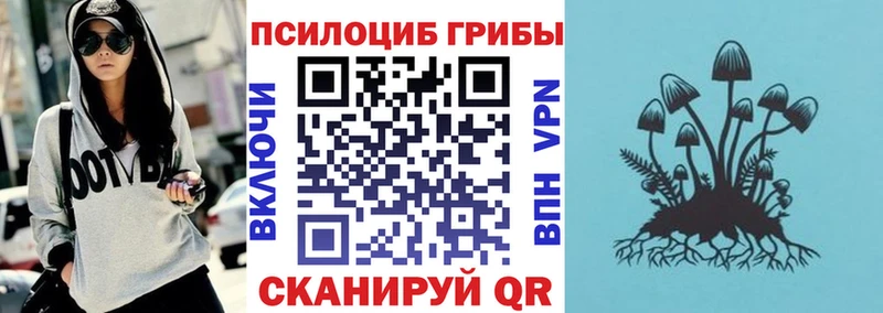 Галлюциногенные грибы GOLDEN TEACHER  мориарти Telegram  Апатиты  что такое  
