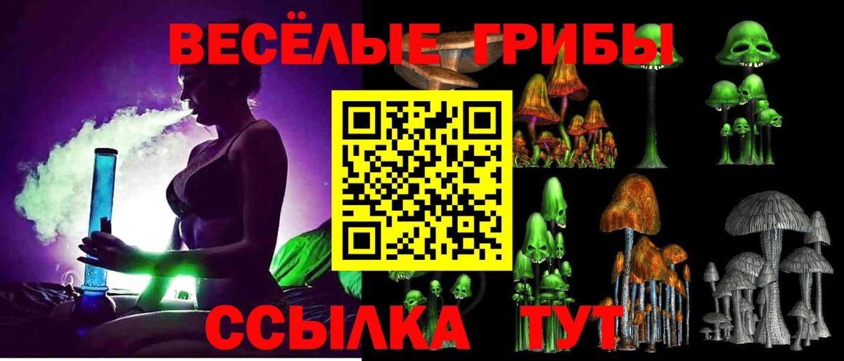 Псилоцибиновые грибы Magic Shrooms  Псилоцибиновые грибы прущие грибы  Апатиты  Вход с VPN 
